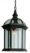  4183 RT - Wentworth 1-Light Atrium Style Outdoor Hanging Pendant